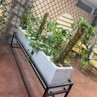 فروش باکس گل
