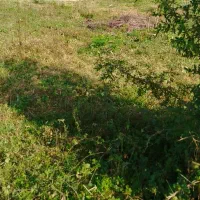 400متر زمین مسکونی سنددار نیاز مالی شدیدفوری