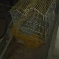 قفس پرنده در حد نو