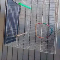 قفس عروس هلندی|لوازم جانبی حیوانات|شیراز, شهرک والفجر|دیوار