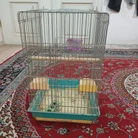 قفس پرنده