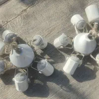 لوستر شاخه ای