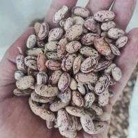 سویاسبحانروغن قو ماکارونی زر حبوبات بهترین قیمت|خوردنی و آشامیدنی|تهران, گمرک|دیوار