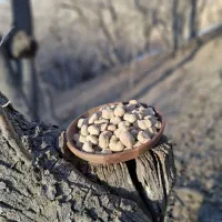 کلگ خام|عمده‌فروشی|یاسوج, |دیوار