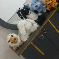 با سلام چندتا عروسک دونه ای ۴۰.|اسباب‌بازی بچه|ساوه, |دیوار