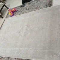 فرش تازه نوی نو یک ماه خریدم|فرش|لاهیجان, گلستان|دیوار