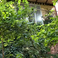 سوئیت ویلایی در روستای اخلمد ۱۰۰متری دو خوابه