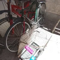 قفس پرندگان خانگی