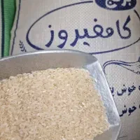 برنج کامفیروزی اصل|خوردنی و آشامیدنی|مرودشت, استادیوم‎|دیوار