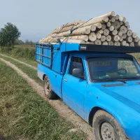 خرید چوب باغ
