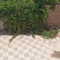 رهن اجاره ویلایی دربست نوسازی شده ۳ خواب گلستان|اجارهٔ خانه و ویلا|اصفهان, الهیه|دیوار