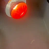 دستگاه نانواستیم و دستگاه نور قرمز|آرایشگاه و سالنهای زیبایی|رشت, گلباغ نماز|دیوار