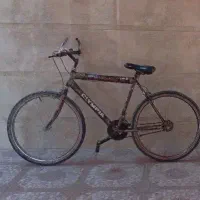 1عدد دوچرخه