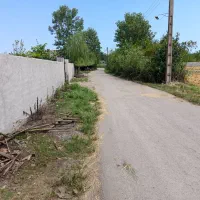 فروش زمین باغی|فروش زمین و ملک کلنگی|رودبنه, |دیوار