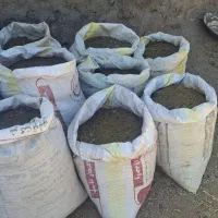 کود گوسفندی حیوانی|خدمات باغبانی و درختکاری|زنجانرود, |دیوار