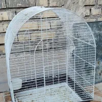 قفس و لانه پرنده