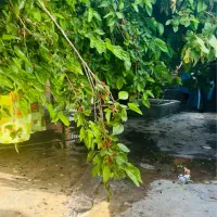فروش-خانه-کلنگی-متراژ-بالا-وسط-شهر