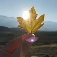 دبیرستان