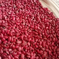 باسلام حبوبات قیمت  مناسب