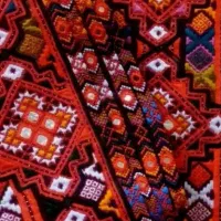 کریشی وسرتوپ دلینا