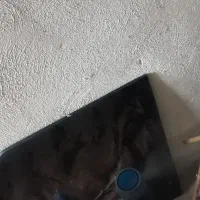 میز غذا خوری|میز و صندلی غذاخوری|بندر ترکمن, |دیوار