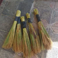 جاروی تازه