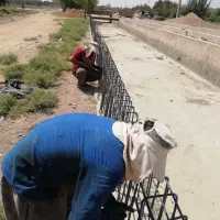 نیروی کار