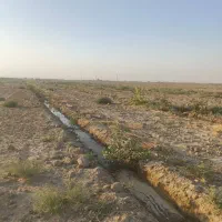 فروش باغ پسته|فروش دفتر صنعتی، کشاورزی، تجاری|سمنان, |دیوار