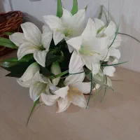 تعدادی ظروف پذیرایی و سبد و دسته گل|ظروف سرو و پذیرایی|میانه, |دیوار