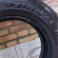 لاستیک|قطعات یدکی و لوازم جانبی|کاشان, الغدیر|دیوار