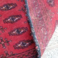 ب دلیل مهاجرت|فرش|هشتگرد, سیف آباد|دیوار