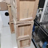 لونه لانه چوبی طوطی|لوازم جانبی حیوانات|ملارد, |دیوار