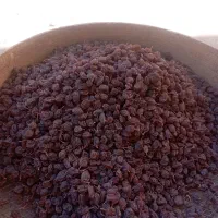 کشمش افتابی بیدانه درشت و گوشتی|خوردنی و آشامیدنی|اقبالیه, |دیوار