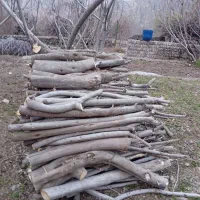 خریدار چوب انجیر کیلویی۲۰هزار