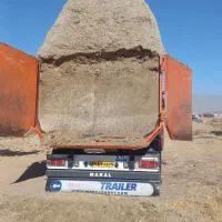 کاه نیشکر.سفید.مخصوص گوسفند وگاو