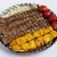 نیروی منقل دار یا ساده جهت کبابی