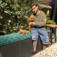 پودل عروسکی (ارش اسدی)اسدی پت|سگ|تهران, قیطریه|دیوار