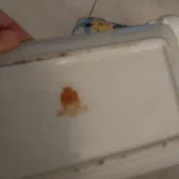 پنیرخوری کمیاب و خاص|کلکسیون اشیاء عتیقه|شوشتر, |دیوار