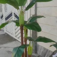 گل و درختچه مصنوعی