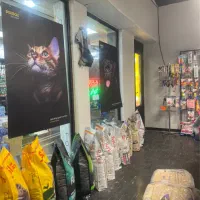 کارمند جهت کار در پت شاپ منطقه جردن