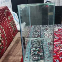 اکواریوم