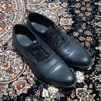 ست کامل کت شلوار و کت تک مردانه|لباس|فردیس, منظریه|دیوار