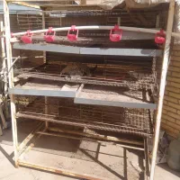 فروش قطعات و لوازم جوجه کشی|لوازم جانبی حیوانات|رفسنجان, |دیوار