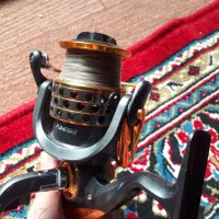 لنسر ماهیگیری|ماهیگیری|گرگان, |دیوار