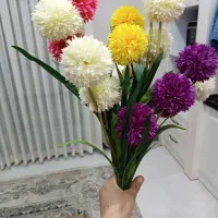 گل طبیعی|گل و گیاه طبیعی|مشهد, هفت تیر (آب و برق)|دیوار