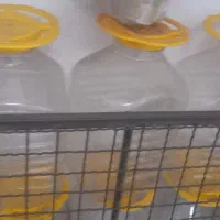 دبه ترشی|ظروف نگهدارنده، پلاستیکی، یک‌بارمصرف|رشت, پارک شهر|دیوار