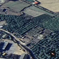 زمین  معاوضه با خودرو|فروش زمین و ملک کلنگی|ارطه, |دیوار