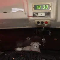 مینی بوس اویکوa۵۰|خودرو سنگین|سیرجان, |دیوار