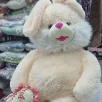 خشکشویی و پتوشویی لبخند با پیک رایگان در کل شهر|خدمات نظافت|شیراز, کوی زهرا|دیوار