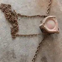 تیفور ژاپنی